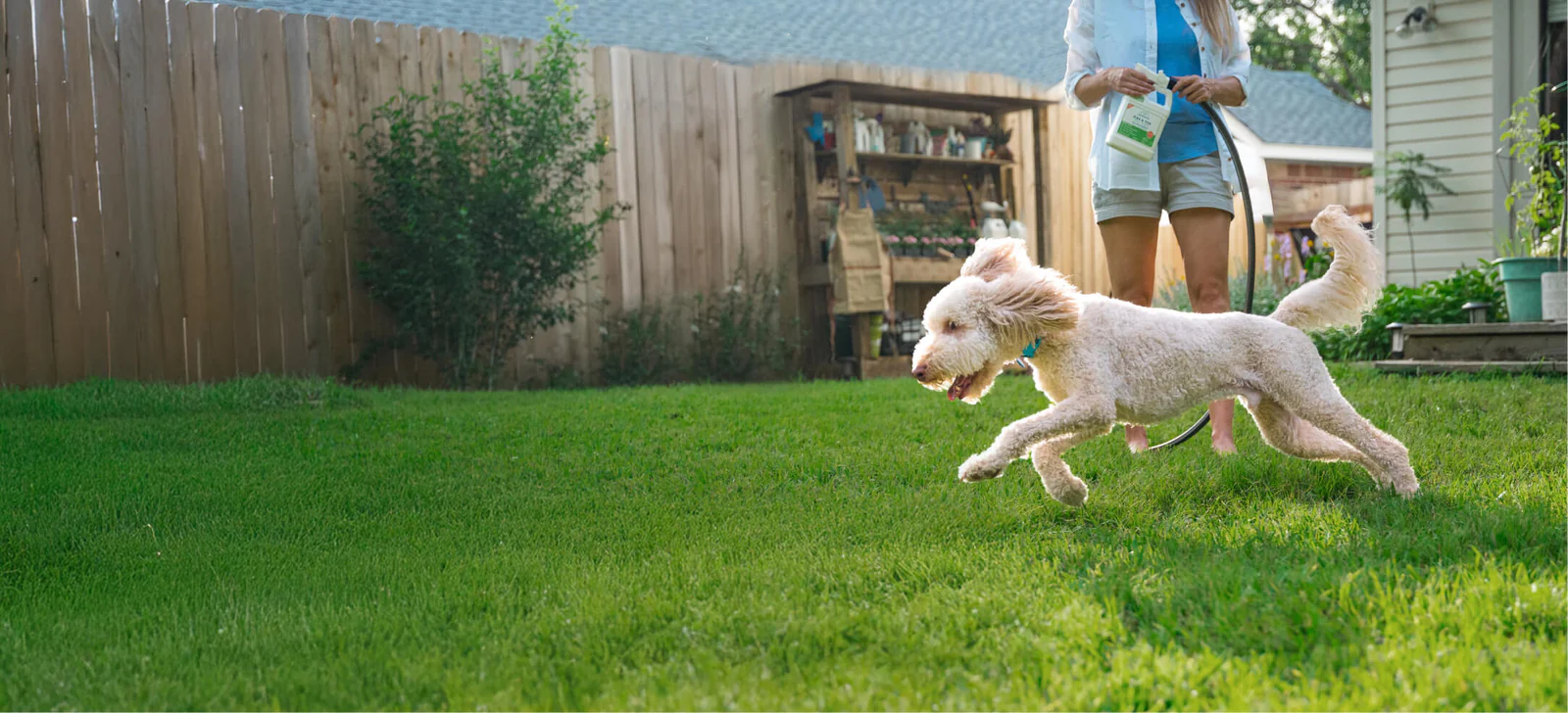 Fierce Love, Safer Protection